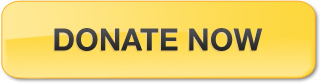 Donate now to the Clown Doctors