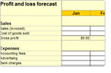 Profit and loss forecast