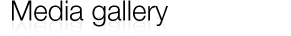 Media gallery