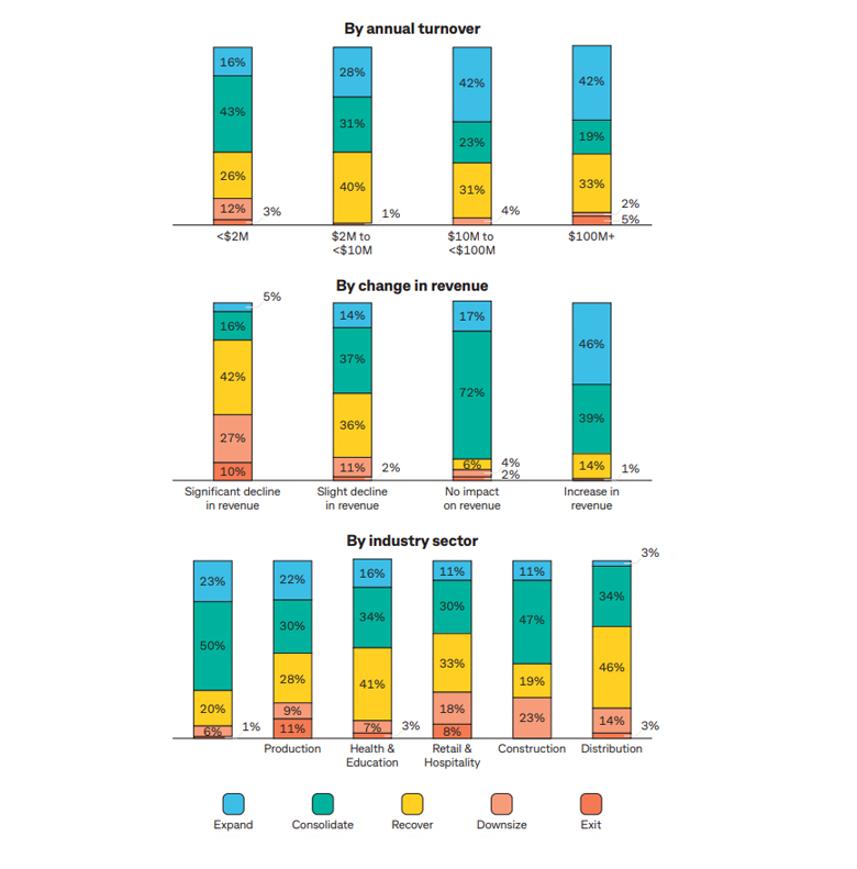 Graph showing company approach over the next 12 months
