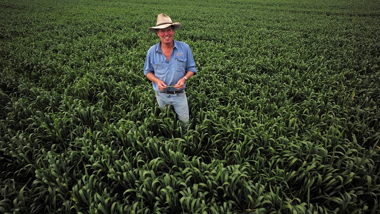 Farmer standing in field