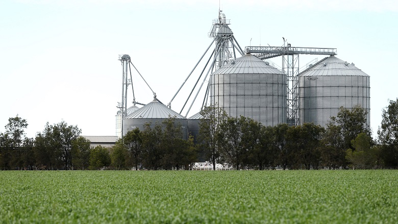 Picture of grain mill