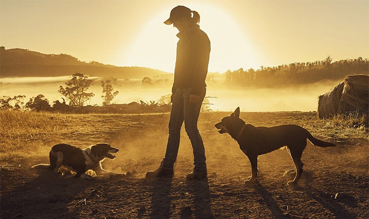 Woman with dogs