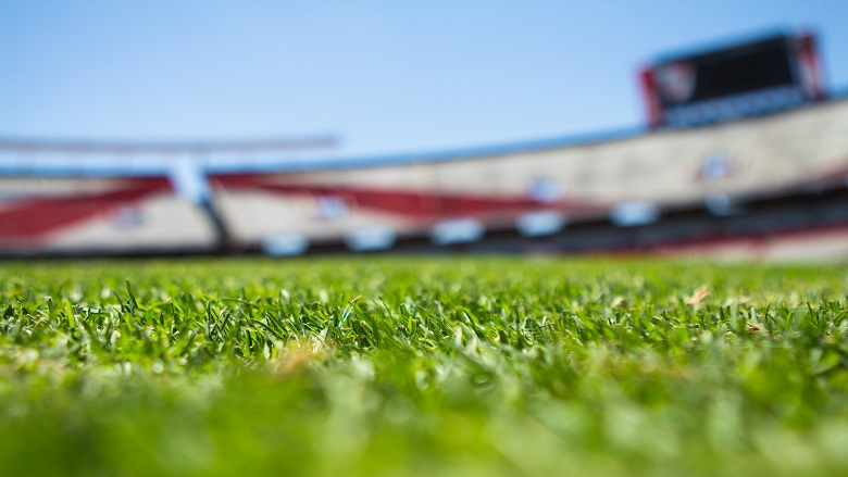 cricket pitch