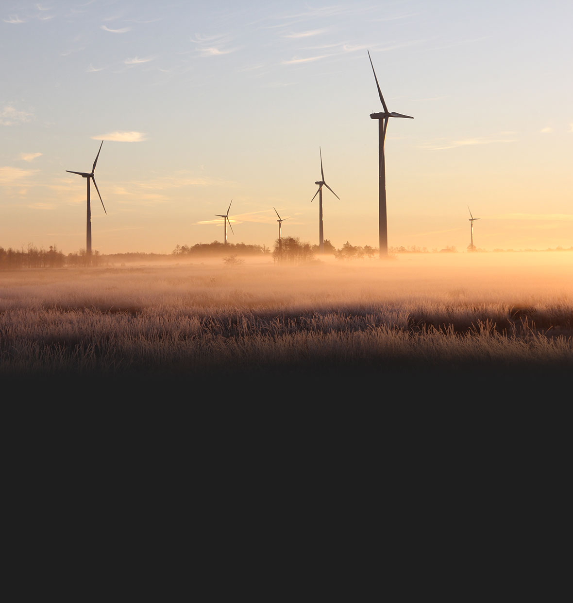 Wind farm