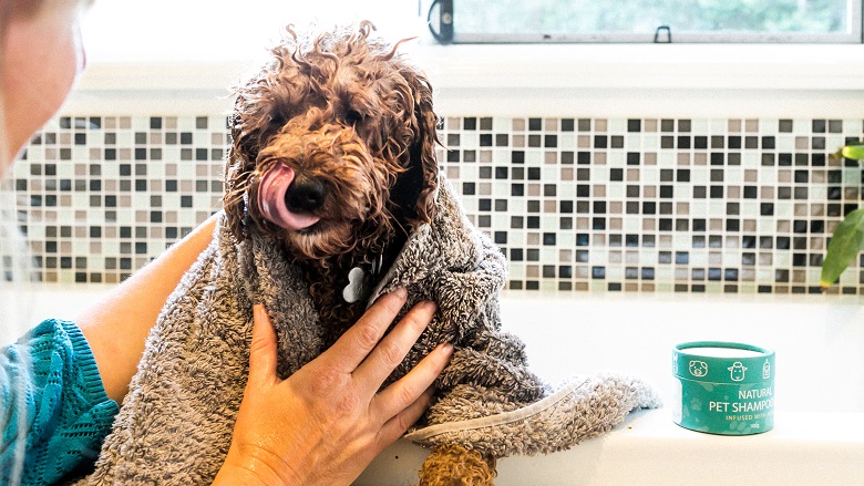 Dog getting shampooed