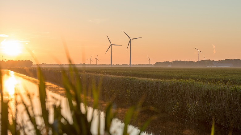 Sustainability wind farm