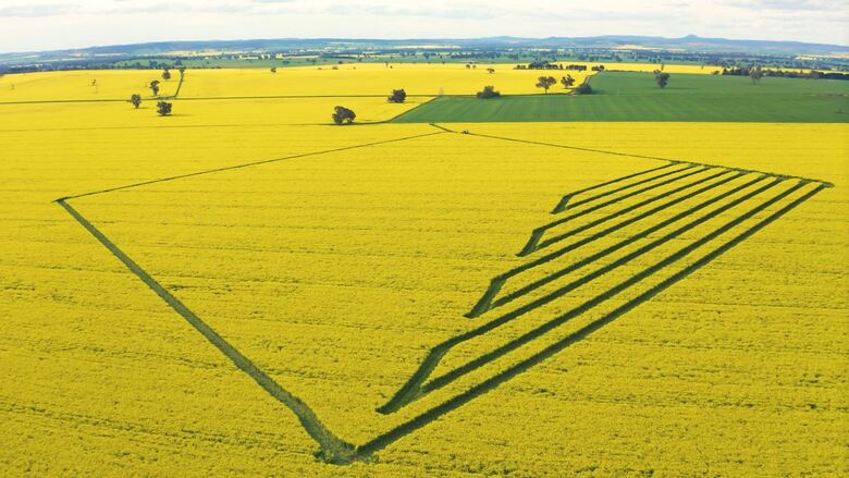 CBA Beacon logo etched into a canola field