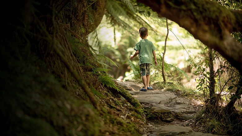 Child in bush