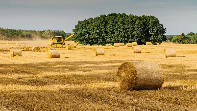 hay bales in a field with a tractor