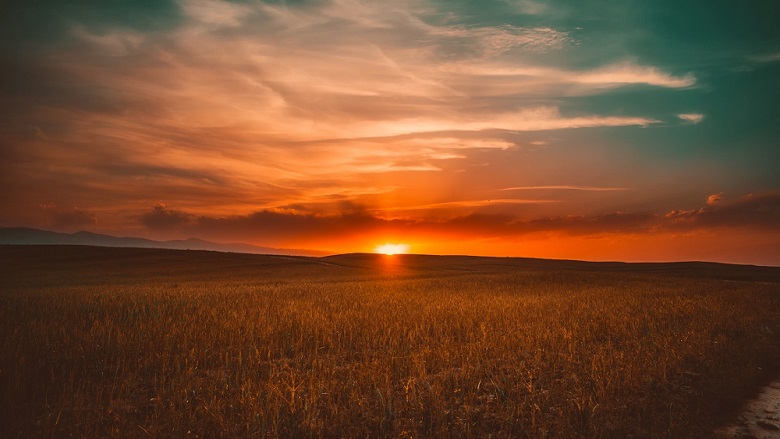 farmland at sunrise