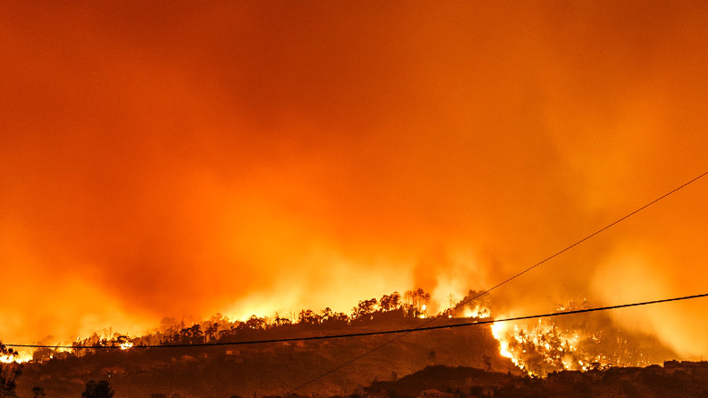Bushfires at night