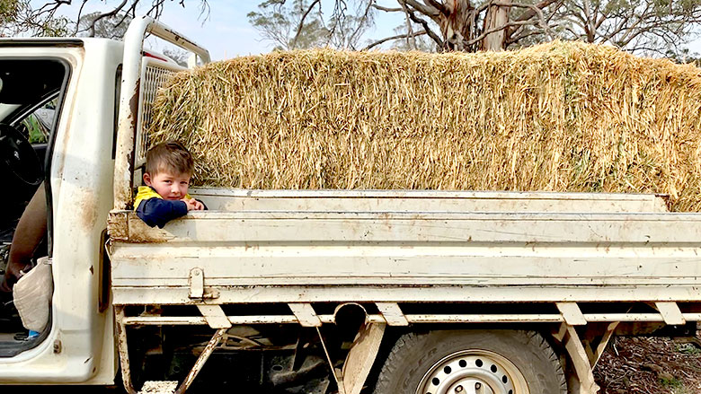 Child in ute with hay