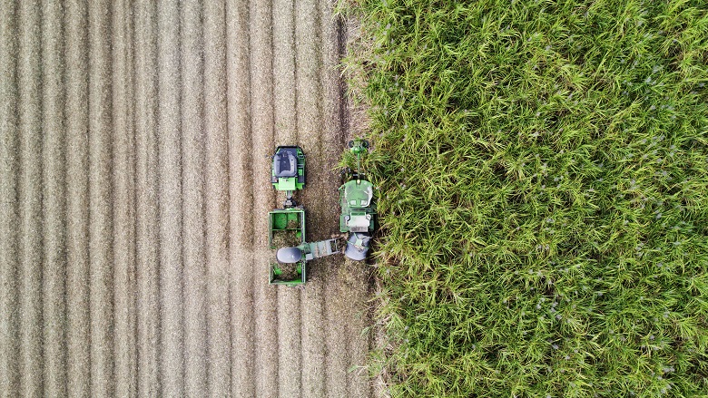 farm image