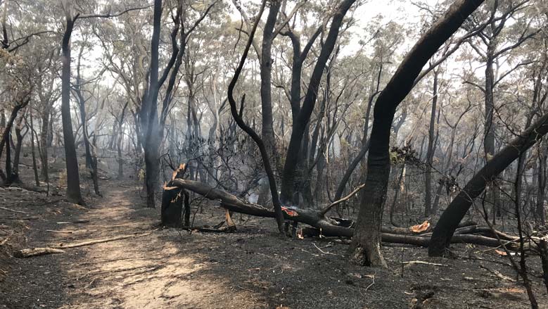 Aerial image of bushfires