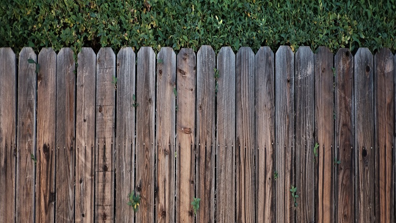 Garden fence