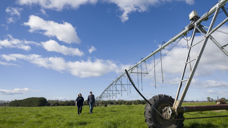 Farmers in paddock