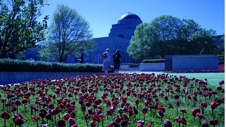 Poppies installation at Australian War Memorial, Canberra