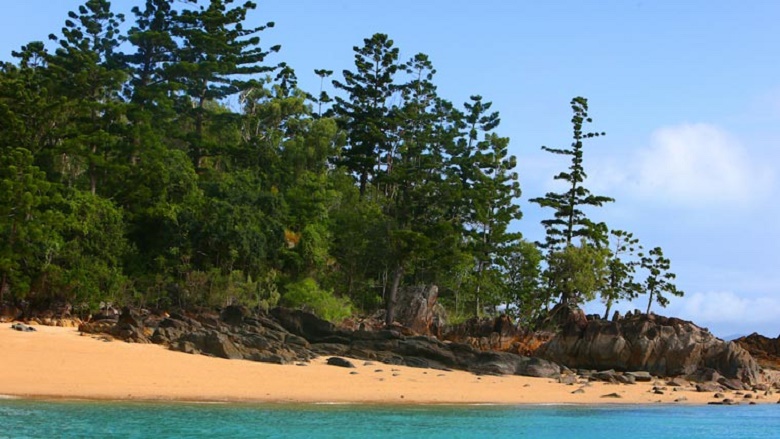 beach in Queensland