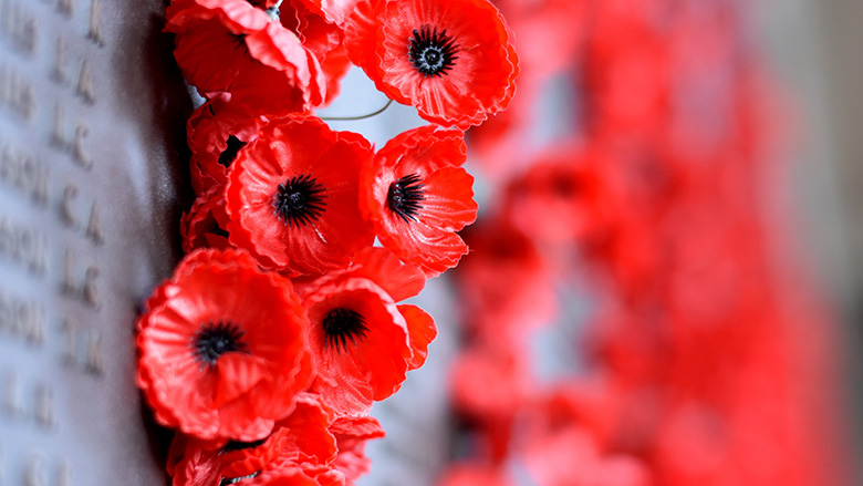 Remembrance Day poppies