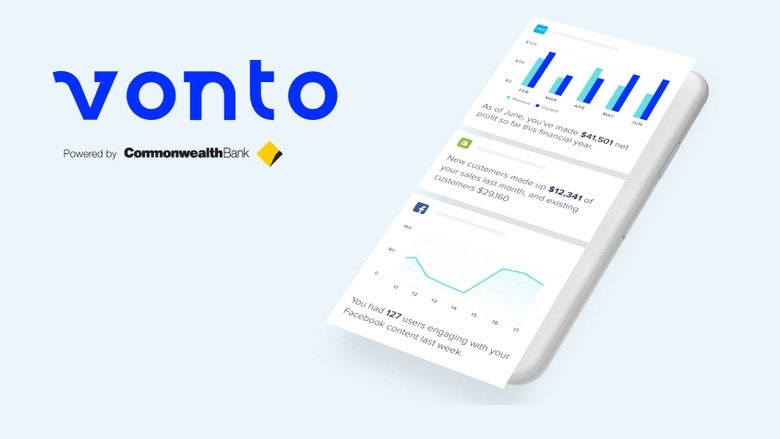 Vonto insights for small business
