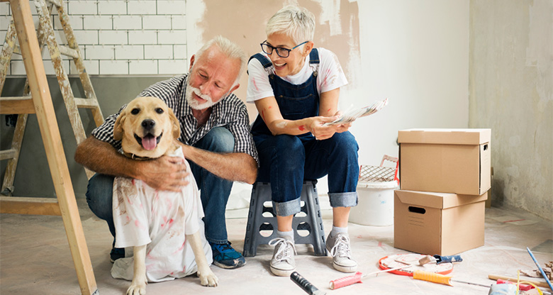 A couple renovating their house with their dog