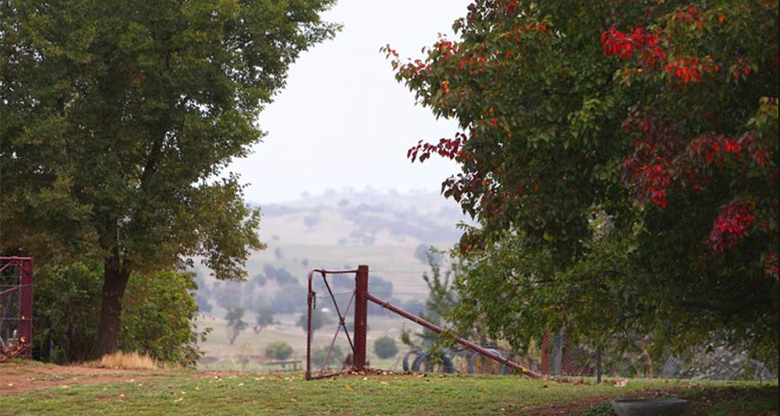 Farm gate