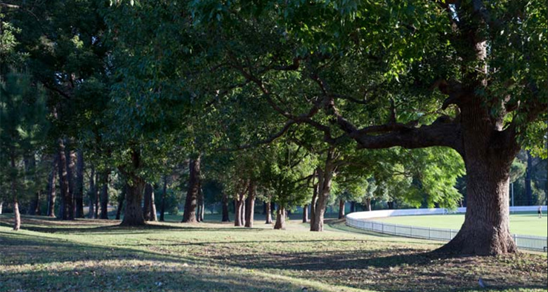 Suburban parkland