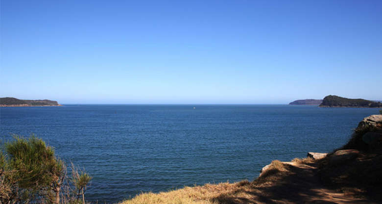 New Zealand seascape