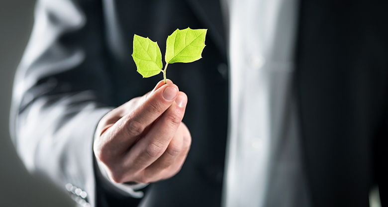 Man holding green leaves