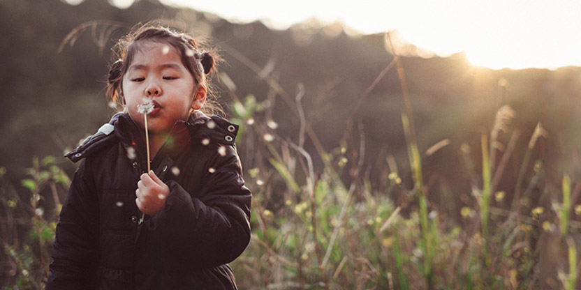 dandelion field playing child