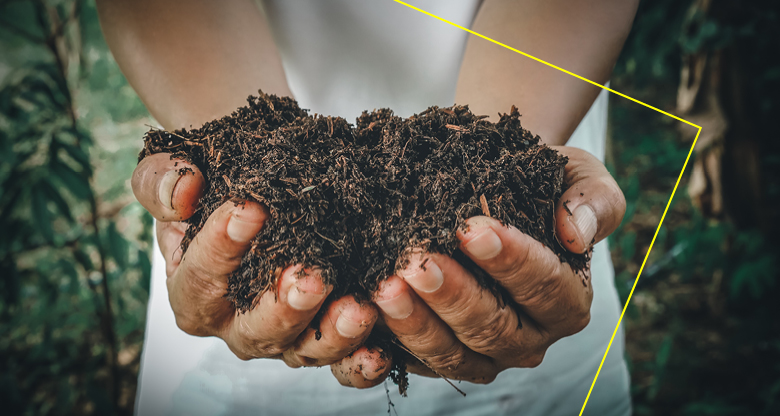 Image of hands holding dirt in palms of hand
