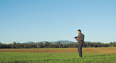 A farmer looking over his land