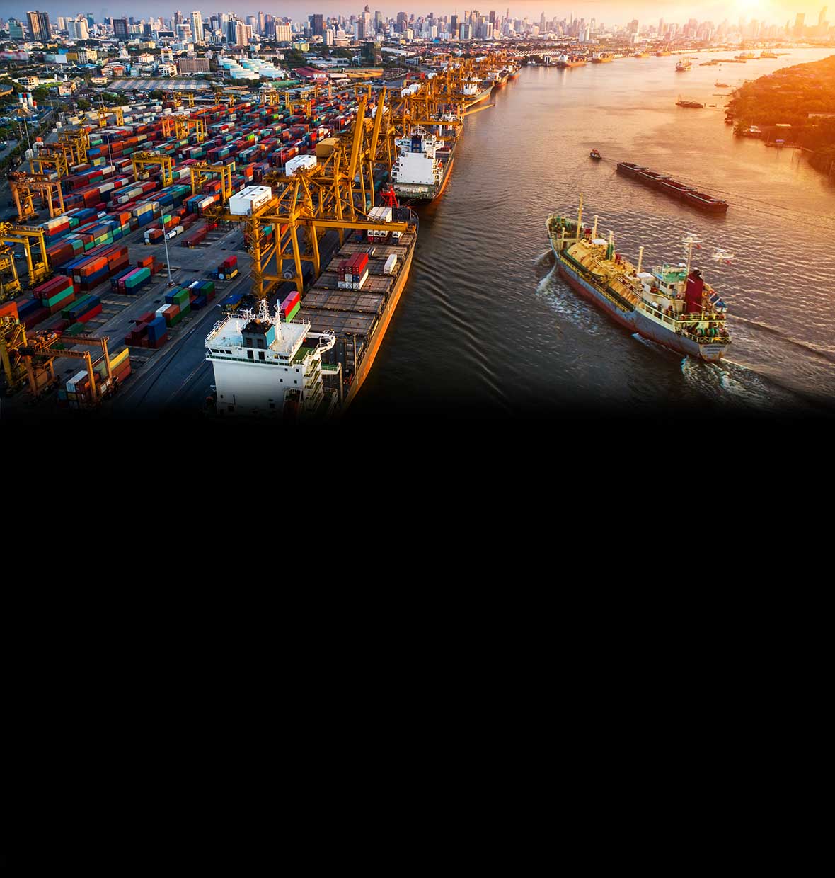 International trade finance hub