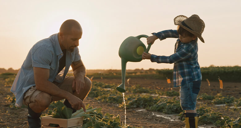 Father and son harvesting crops