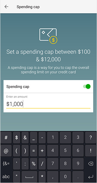 Enter the maximum amount you'd like spend on the card overall