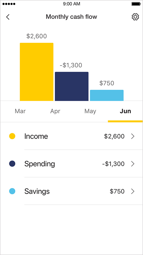 Screenshot of monthly cash flow showing monthly income, spending and savings