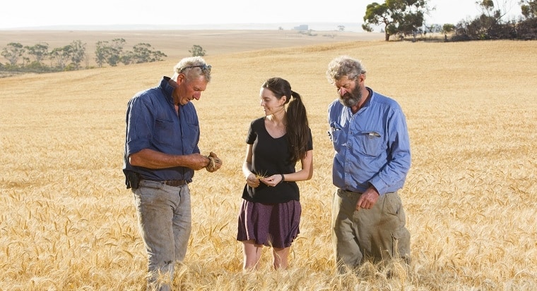 Hayes family standing in a field of wheat