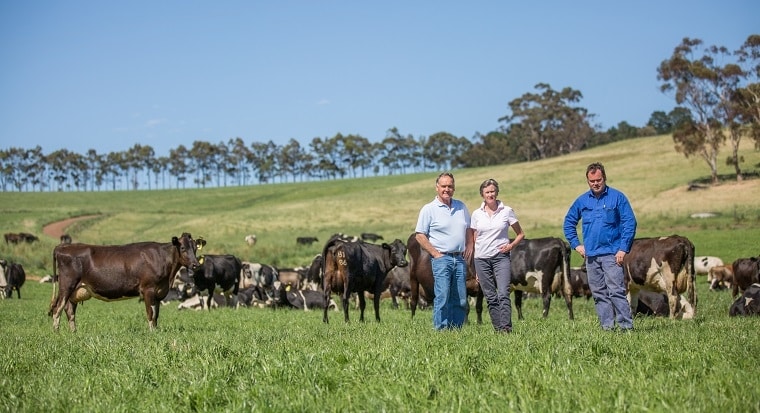 Withnell family standin  in a field with cows