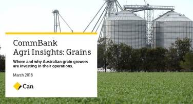 Agri Insights: Grains March 2018