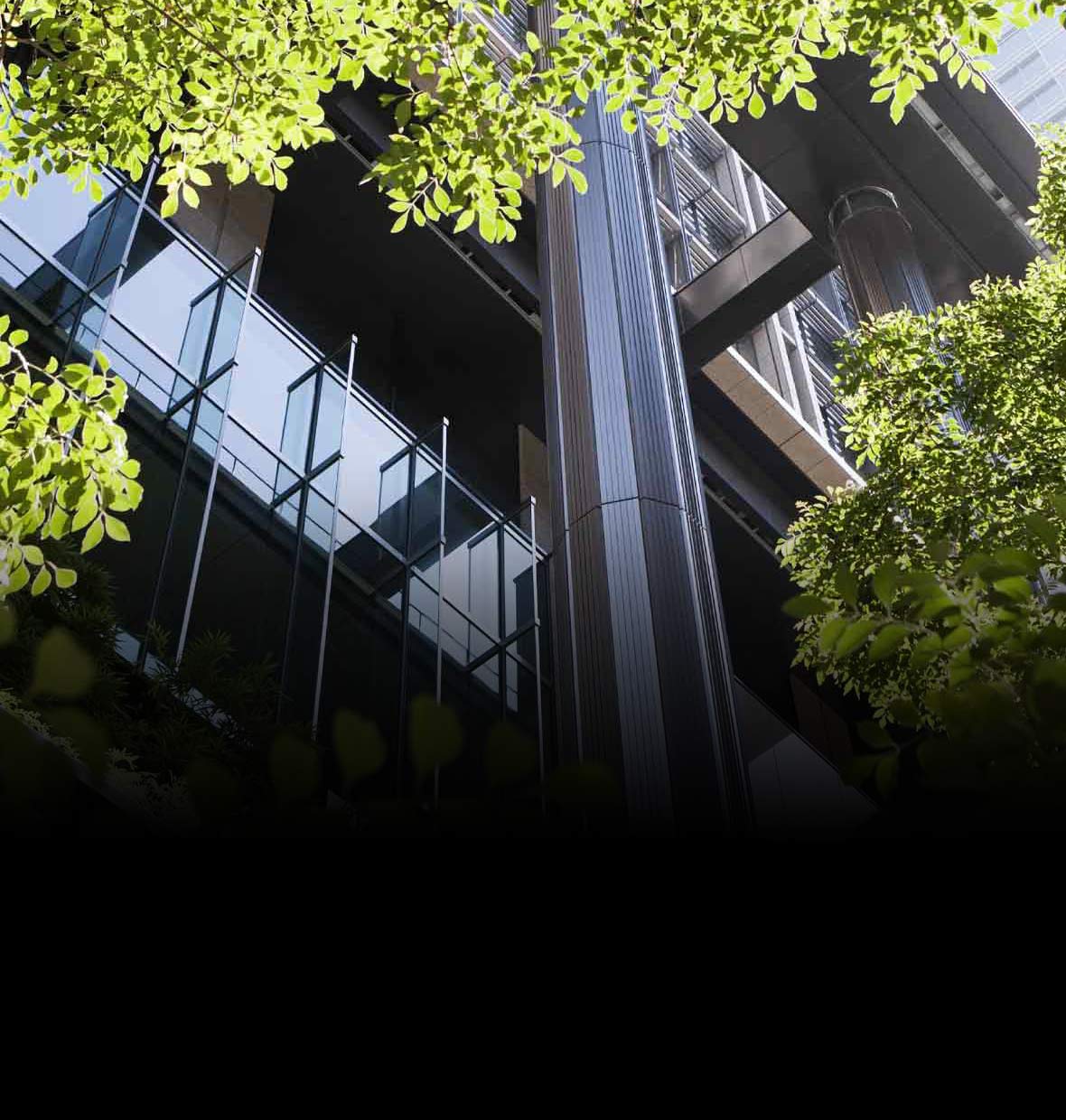 Office building viewed through trees