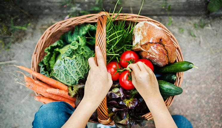 Basket of vegetables