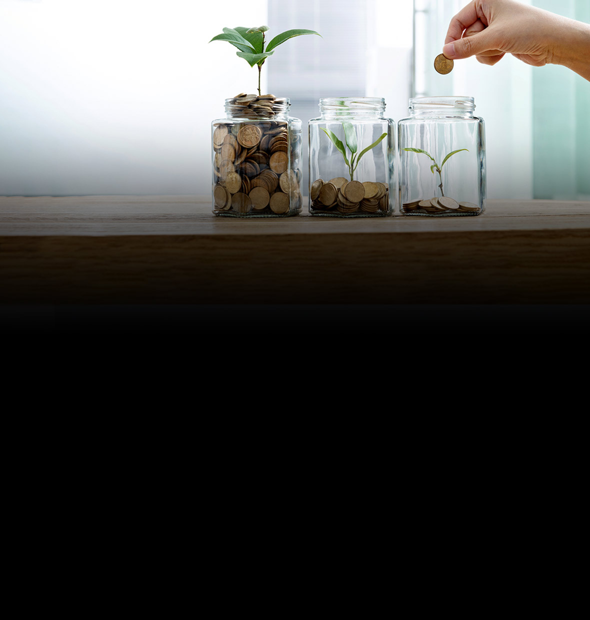 Coins in jars