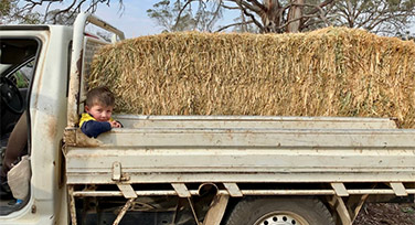Boy in a haystack on a back of a truck