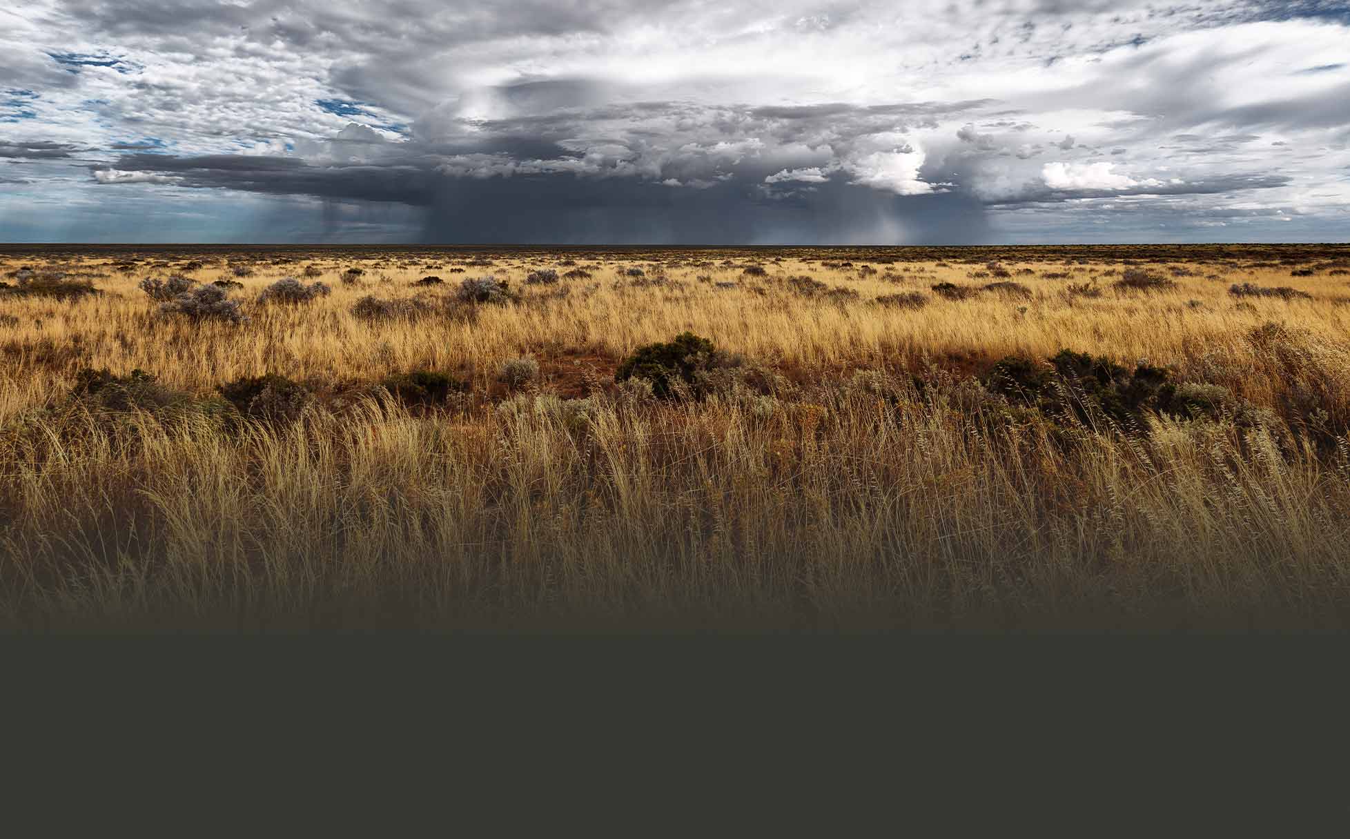 Storm clouds brewing over landscape