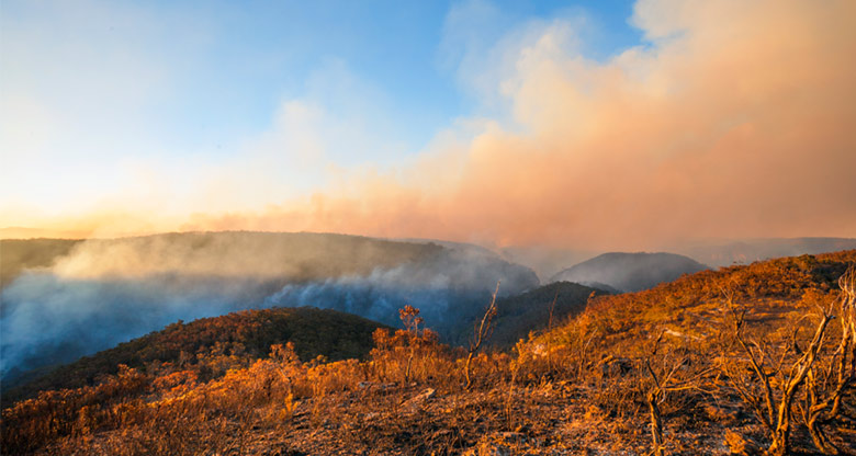 Bushfire smoke