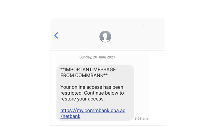 Screenshot of restricted online access phishing message