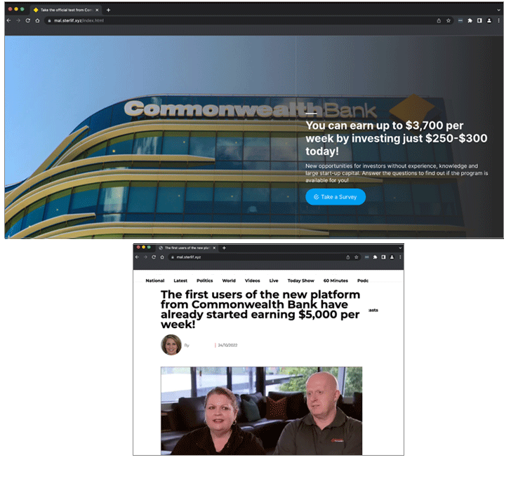 Scam page examples: Fake investment scheme