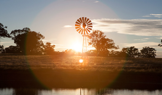 Careers in regional and agribusiness