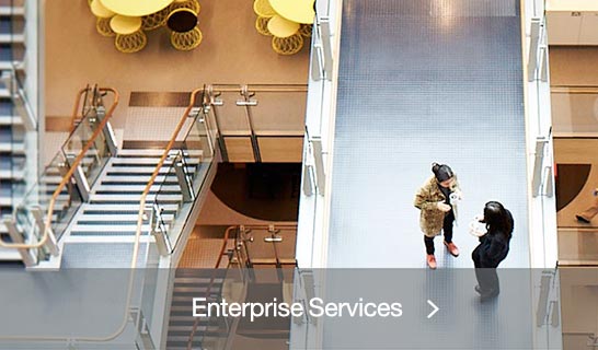 Enterprise Services